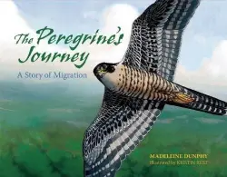 The Peregrines Journey